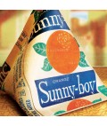 Art Print | Sunny-boy
